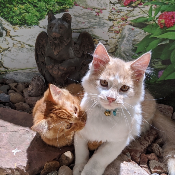 Lamp Cheap - Picture 3 of 8